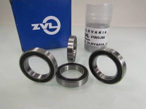 61803 2RS ZVL
