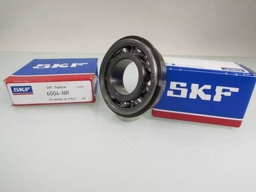 6004 N SKF
