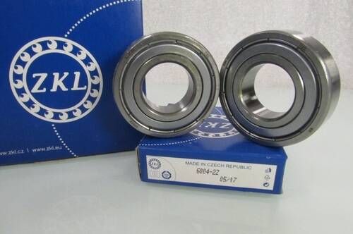 6004 2Z ZKL
