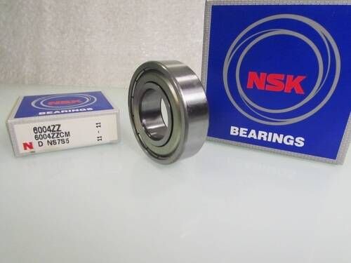 6004 ZZCM NSK