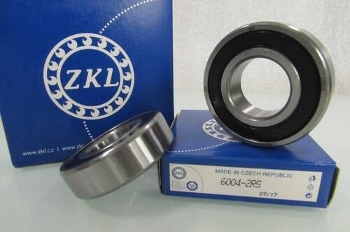 6004 2RS ZKL