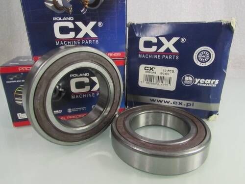 6008 2RS CX