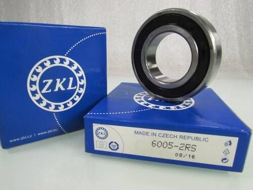 6005 2RS ZKL