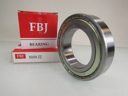 6009 ZZ FBJ