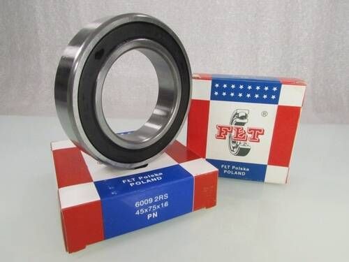 6009 2RS FLT