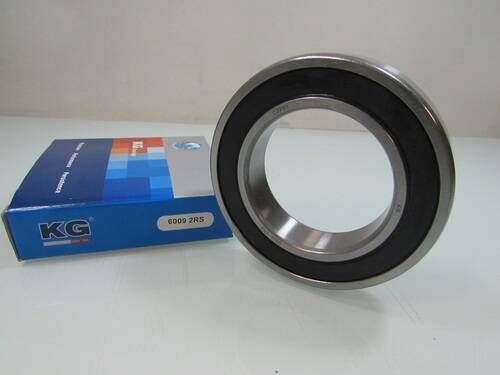6009 2RS KG