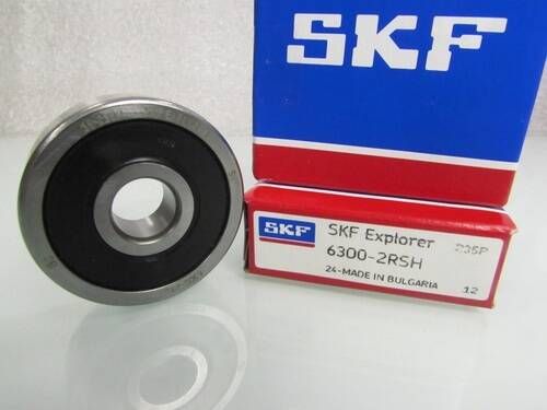 6300 2RS SKF