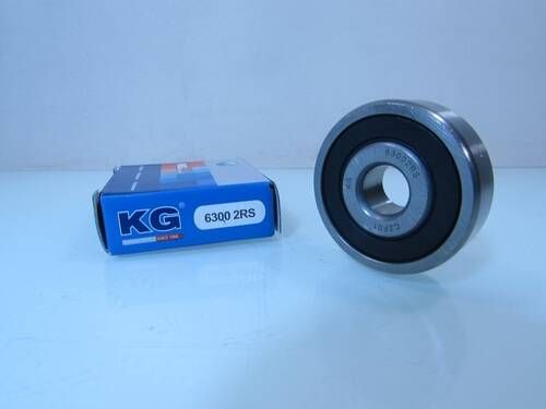6300 2RS KG