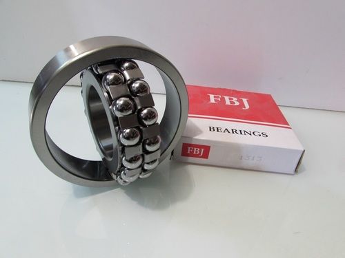 1313 FBJ