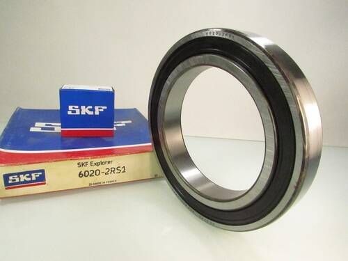 6020 2RS SKF