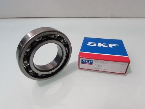 6004 SKF