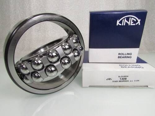 1309 KINEX