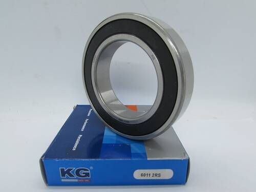 6011 2RS KG