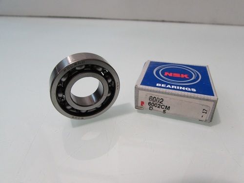 6002 NSK