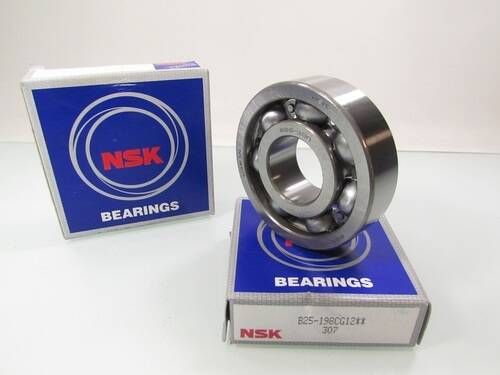 B25-198CG12 NSK
