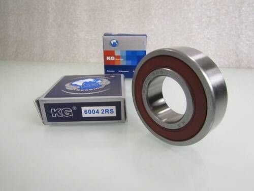 6004 2RS KG