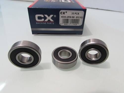 6000 2RS SS CX