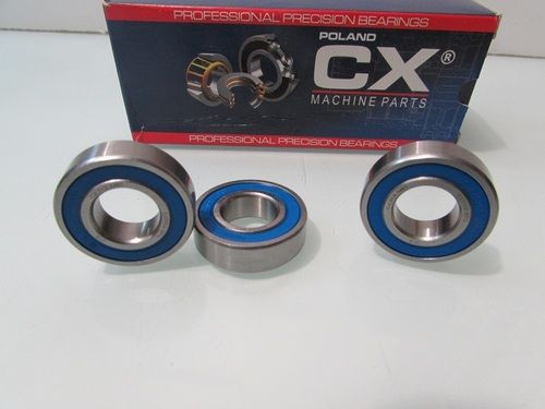 6002 2RS/SS CX