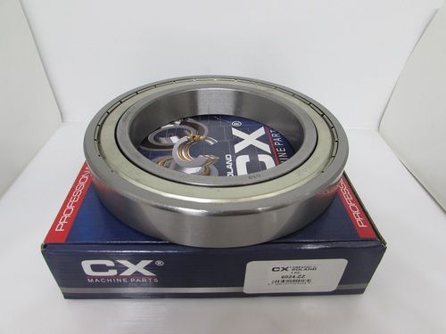 6024 ZZ CX