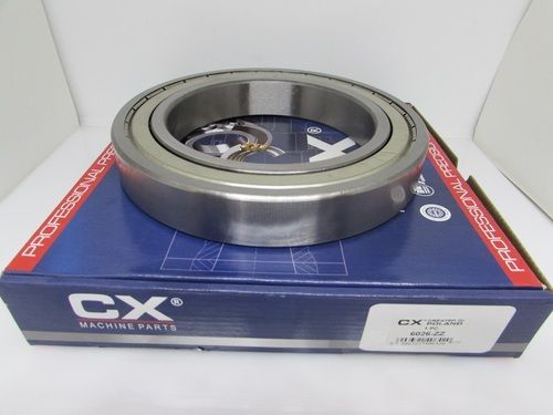 6026 ZZ CX