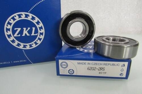 6202 2RS ZKL