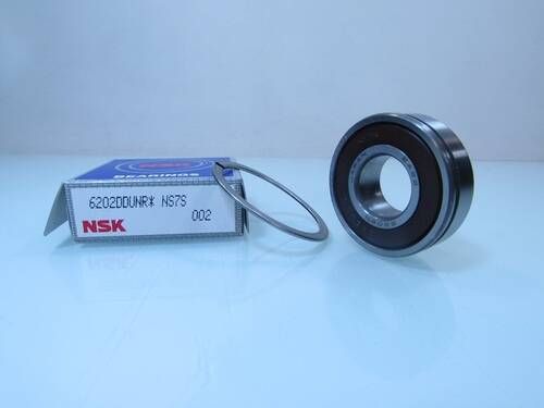 6202 DDUNR NSK