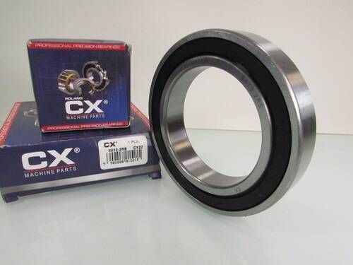 6013 2RS CX