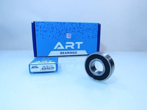 6202 2RS ART