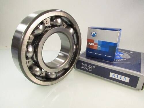 6313 KG