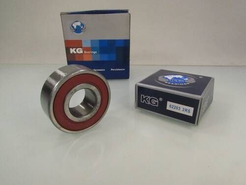 62203 2RS KG