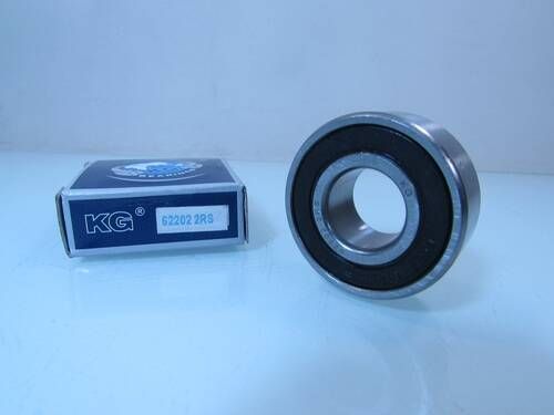 62202 2RS KG