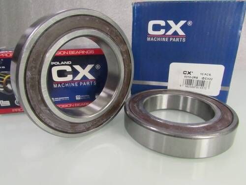 6010 2RS CX