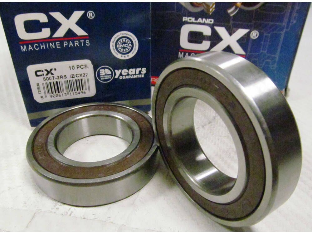 6007 2RS CX